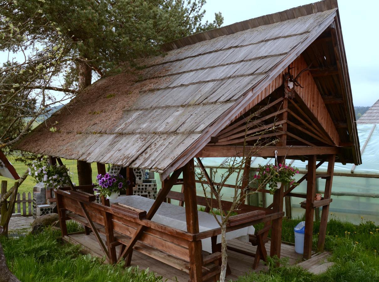 Casa Florea Poiana Stampei Εξωτερικό φωτογραφία