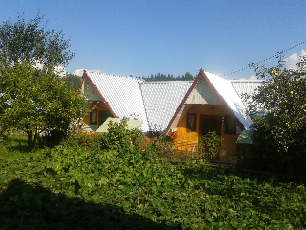 Casa Florea Poiana Stampei Εξωτερικό φωτογραφία