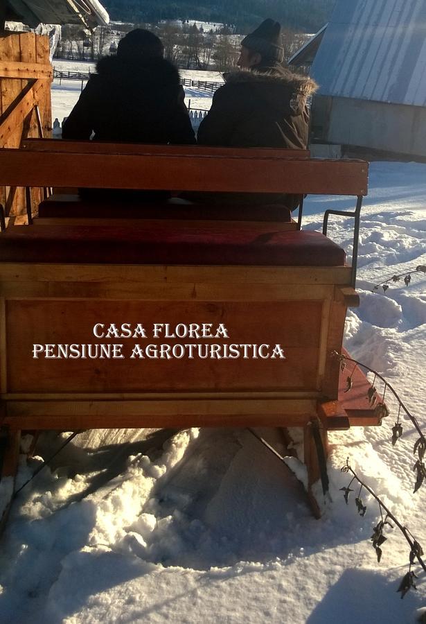 Casa Florea Poiana Stampei Εξωτερικό φωτογραφία