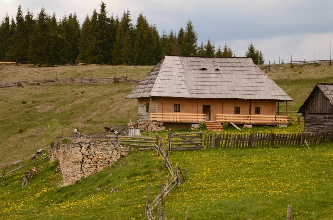 Casa Florea Poiana Stampei Εξωτερικό φωτογραφία