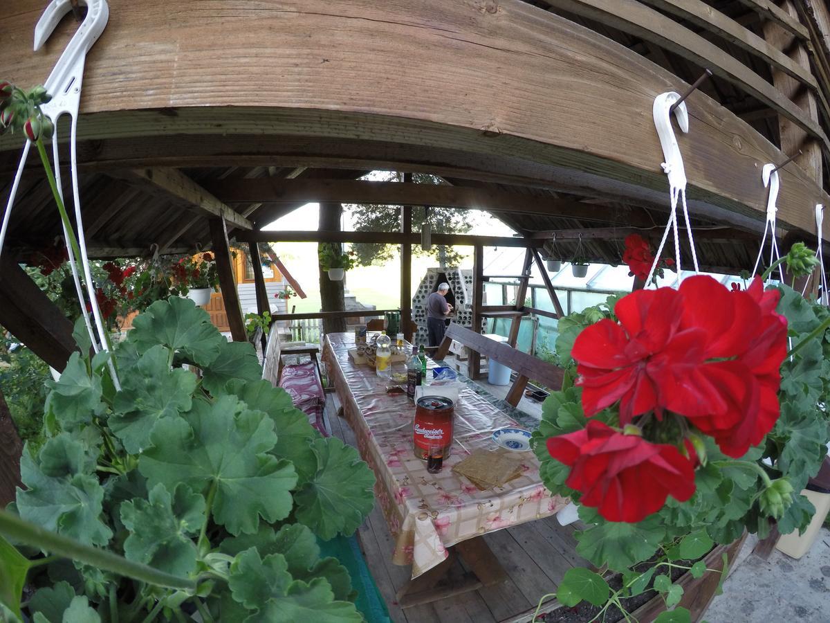 Casa Florea Poiana Stampei Εξωτερικό φωτογραφία