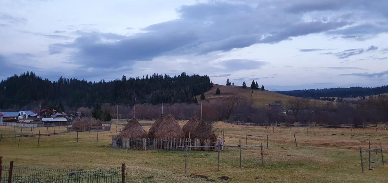 Casa Florea Poiana Stampei Εξωτερικό φωτογραφία