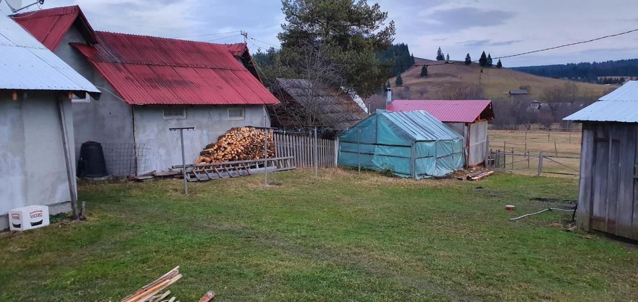 Casa Florea Poiana Stampei Εξωτερικό φωτογραφία